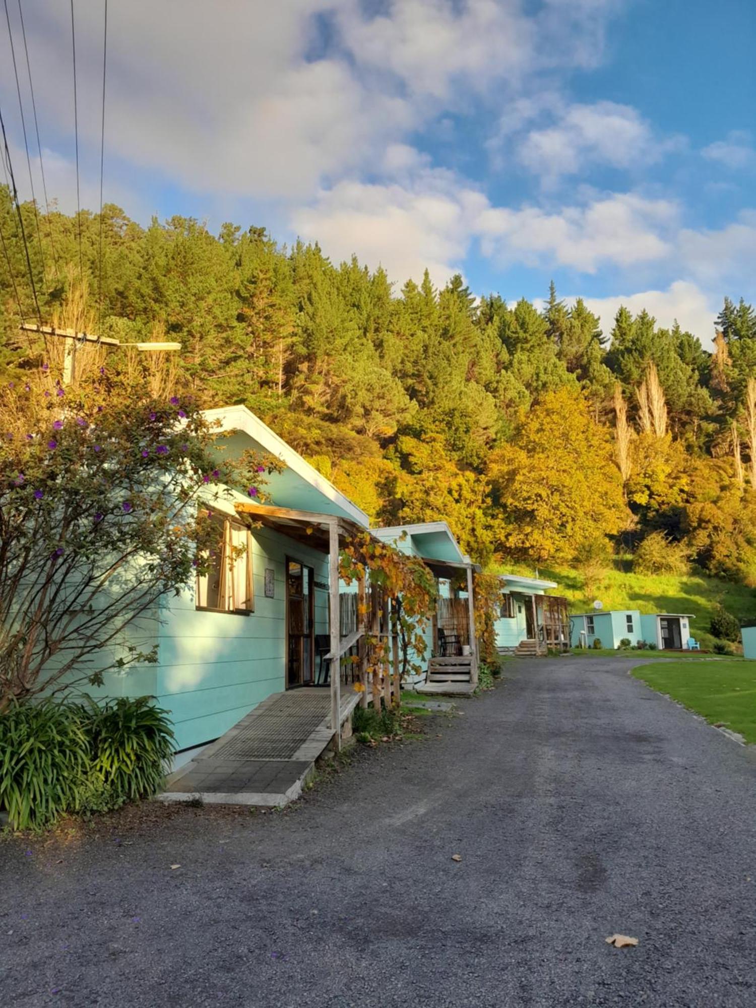 Dickson Holiday Park Thames Extérieur photo